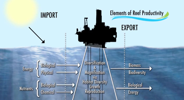 Rigs-to-Reefs Builds Needed Habitat For Gulf Seafood : Gulf Seafood News