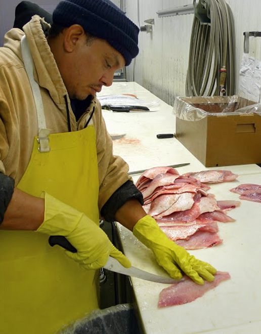 Filleting fish at Sysco Louisiana Foods Stafford plant outside of Houston. Photo: Sysco Louisiana Foods